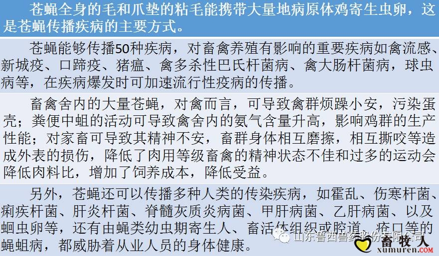 四、苍蝇的危害