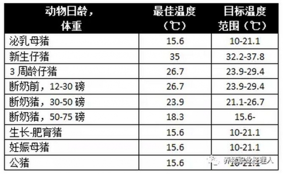 夏季如何降低猪的热应激