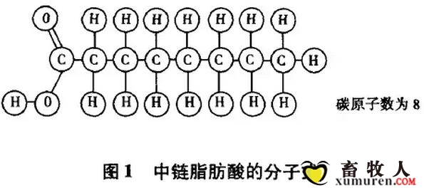 中11.jpg