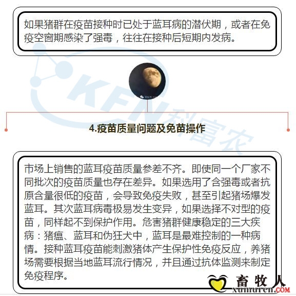 4_副本.jpg