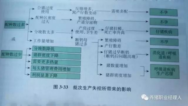必修课 | 如何制定高效生产与健康管理的计划？