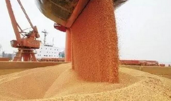 如何把控饲料质量系统