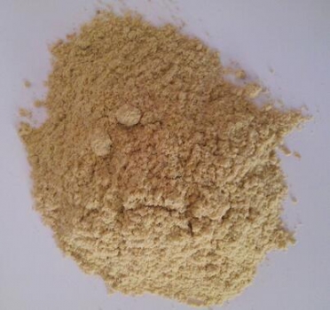 无论采食量高低，妊娠母猪对全脂米糠和脱脂米糠的能量消化率高于后备母猪