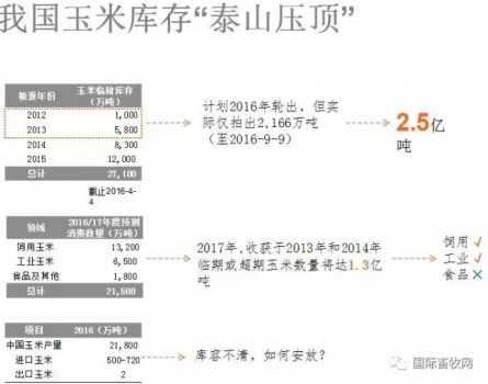 陈化玉米对家禽的危害及全方位营养解决方案