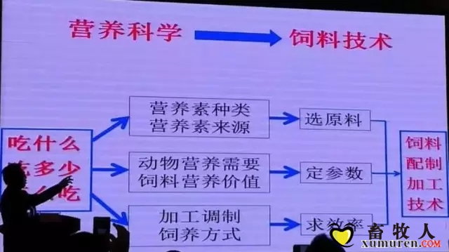 2.webp (1).jpg