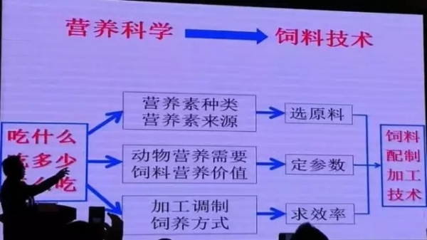 2.webp (1).jpg