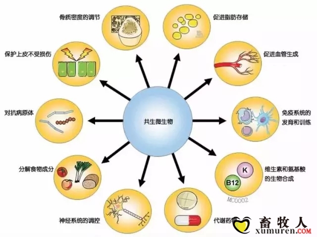 5.webp (1).jpg