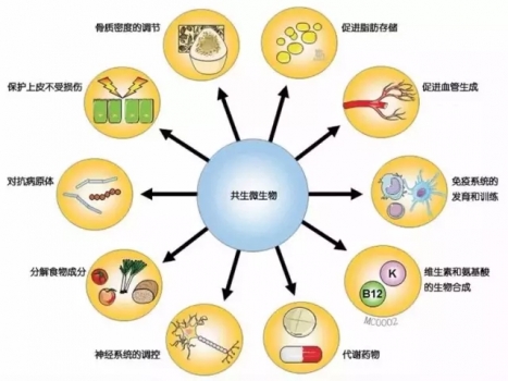 5.webp (1).jpg