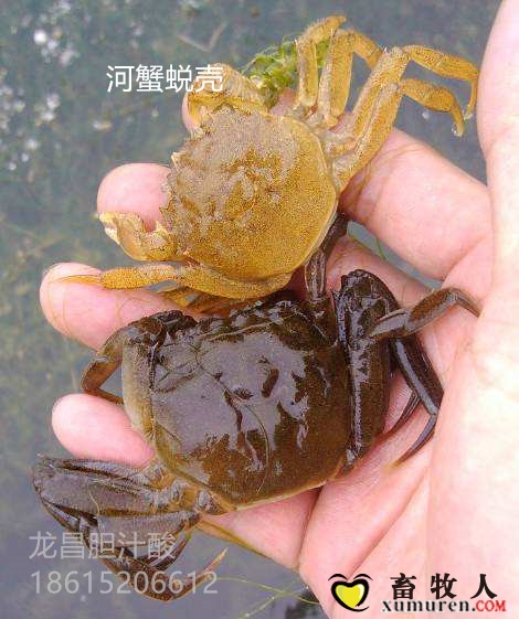 2.副本.jpg