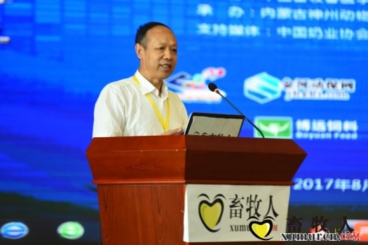 王洪荣教授.jpg