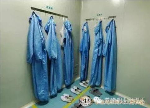 必修课 | 完整的猪场生物安全管理制度（1）