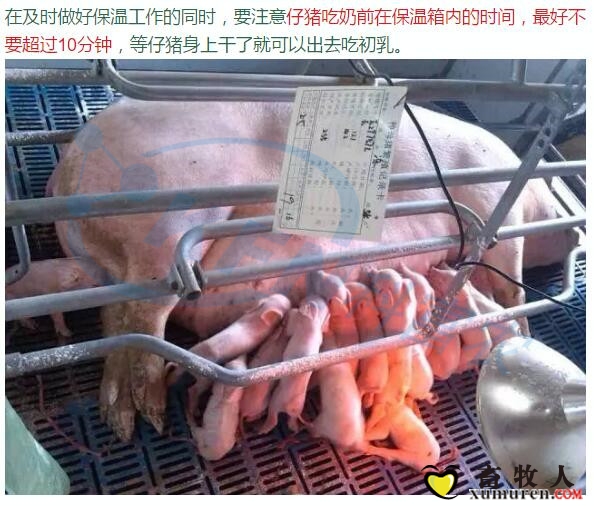 3_副本.jpg