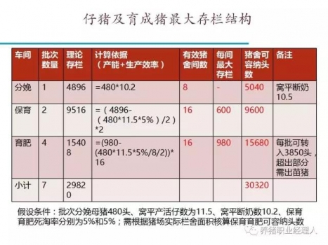 前沿技术 | 五万头规模场四周批次生产模式介绍（1）