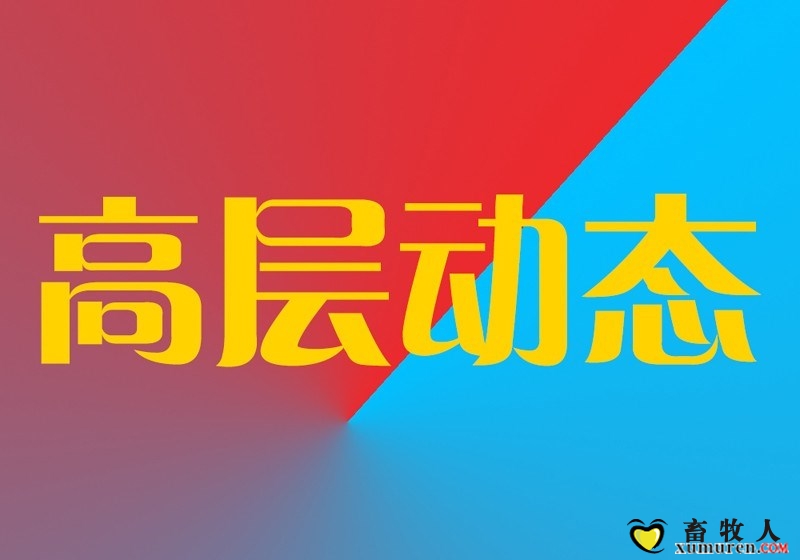 高层动态_副本.jpg