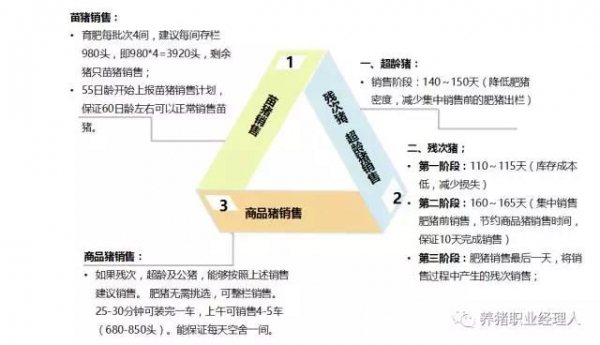 前沿技术 | 五万头规模场四周批次生产模式介绍（3）