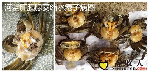 initpintu_副本 (3)_副本.jpg