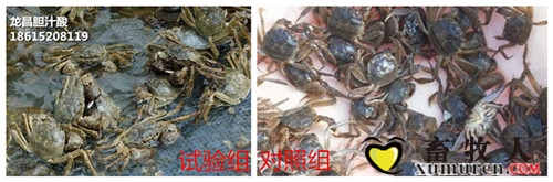 initpintu_副本 (4)_副本.jpg