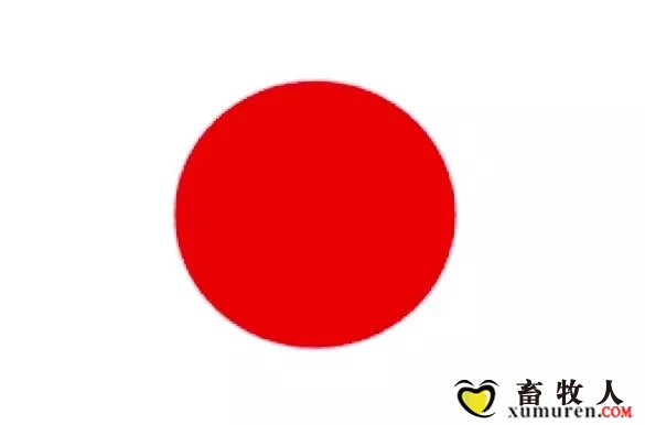 7.webp.jpg