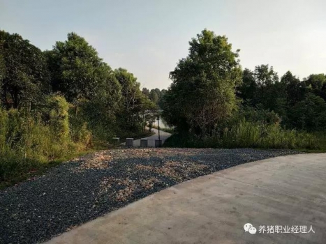 必修课 | 猪场隔离措施完善与否决定一个场的疾病是否多发（值得收藏）