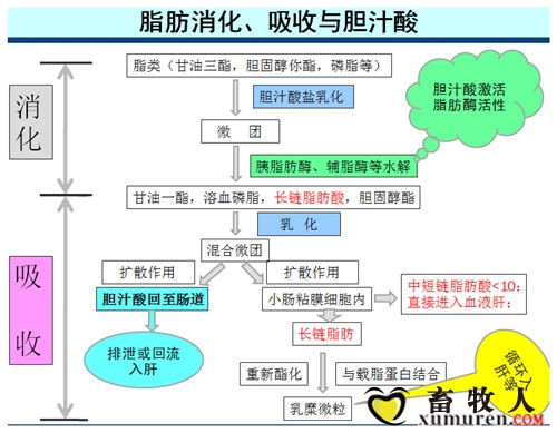 initpintu_副本 (2).jpg