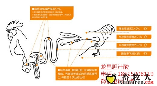 initpintu_副本.jpg