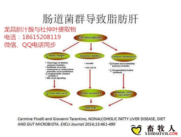 initpintu_副本 (2).jpg