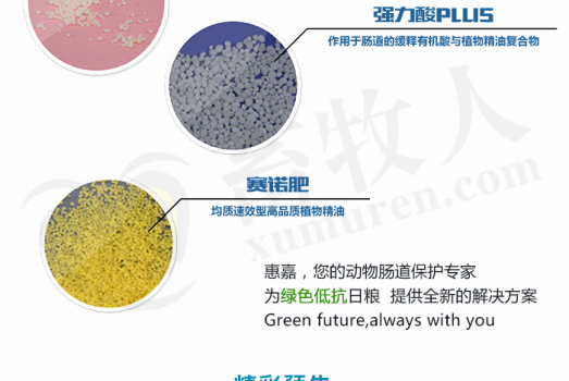惠嘉9-6微信文章_09_副本.png