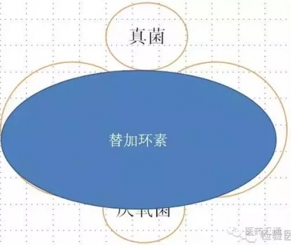 图解抗生素