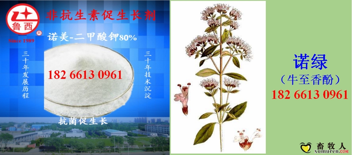 诺美 诺绿（个人).jpg