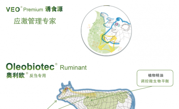法国馥蒂微信文章_07.png