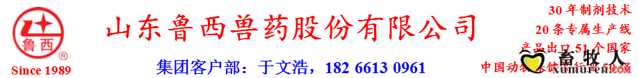 页眉-山东鲁西 个人.png