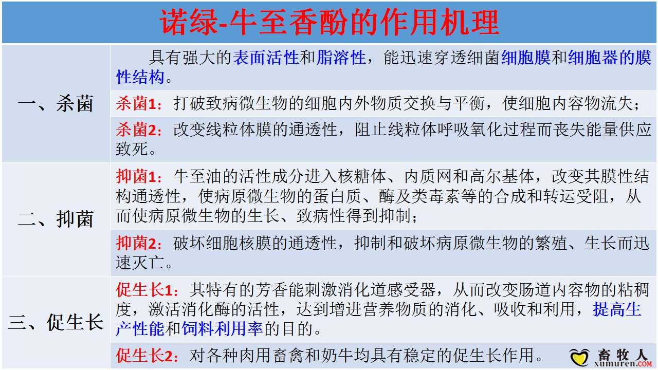 诺绿-牛至香酚的作用机理.jpg