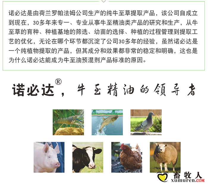 荷丹微信文章_05.png