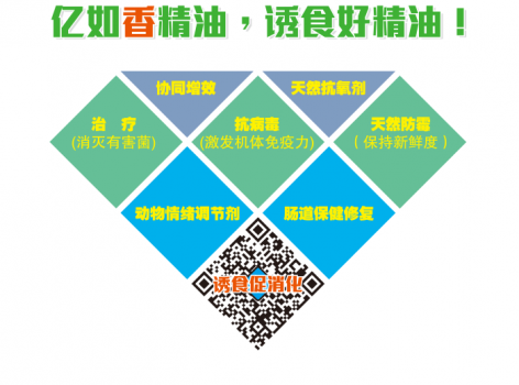 【聚焦精油】亿如：坚持为行业提供用得起、用得好的精油产品