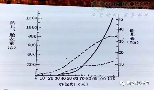 112.webp.jpg