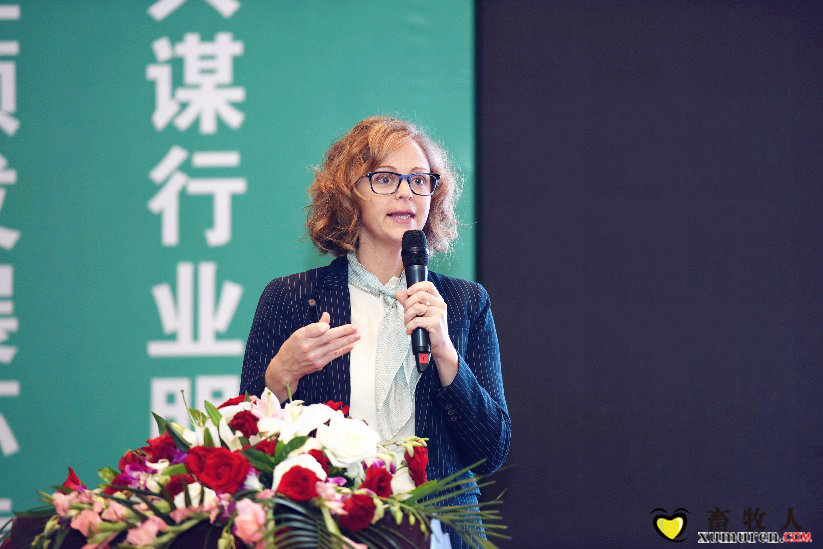图片1_副本.png