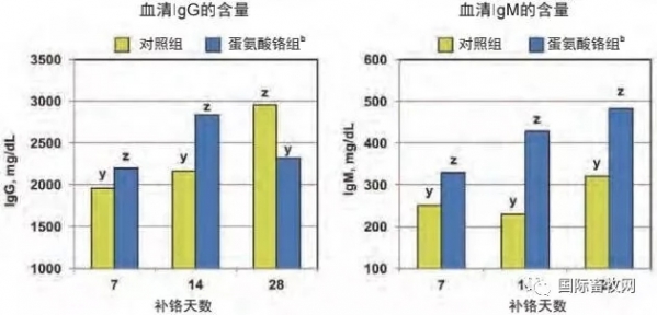 铬元素在猪营养中的应用（上）