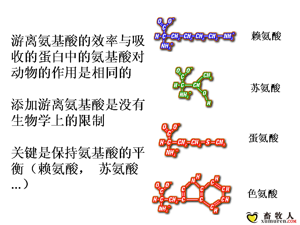 幻灯片20.PNG