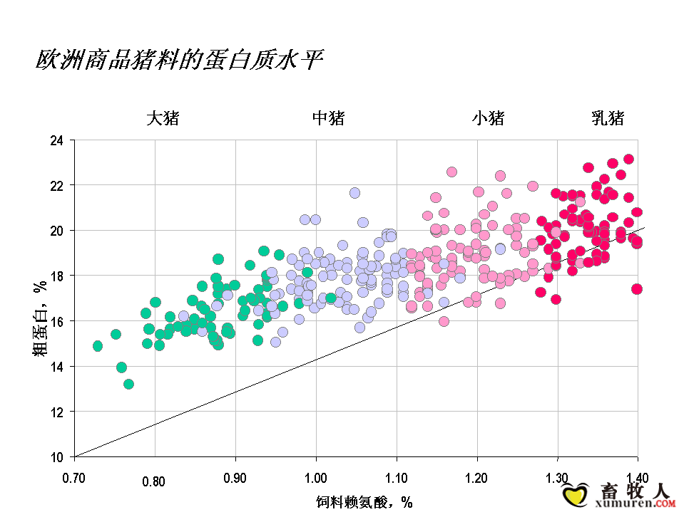 幻灯片28.PNG