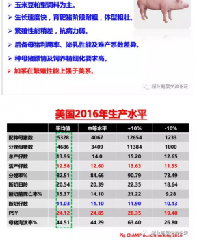 丹系VS美系母猪营养及饲喂差异_03.png