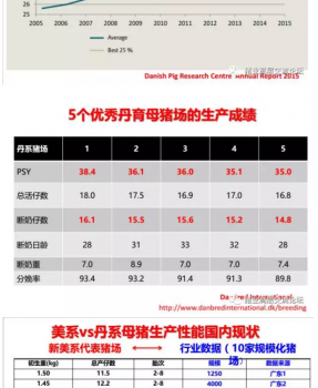 丹系VS美系母猪营养及饲喂差异_05.png