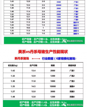 丹系VS美系母猪营养及饲喂差异_06.png