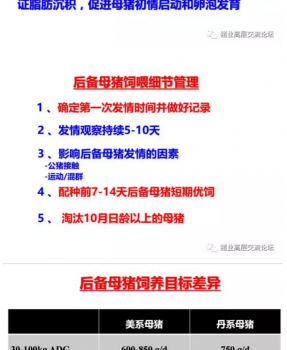 丹系VS美系母猪营养及饲喂差异_16.png