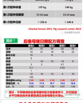 丹系VS美系母猪营养及饲喂差异_17.png