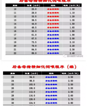 丹系VS美系母猪营养及饲喂差异_18.png