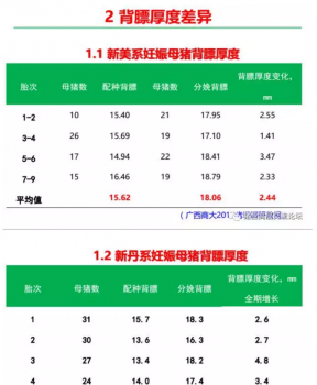 丹系VS美系母猪营养及饲喂差异_01.png