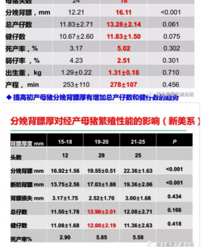 丹系VS美系母猪营养及饲喂差异_03.png