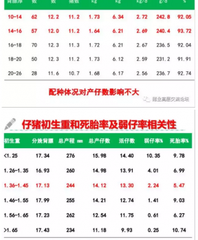 丹系VS美系母猪营养及饲喂差异_06.png