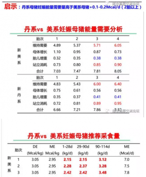 丹系VS美系母猪营养及饲喂差异_10.png