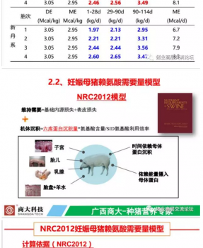 丹系VS美系母猪营养及饲喂差异_11.png